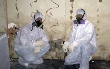 asbestos environmental services versapro